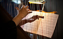 A music stand with sheet music on it seen through the strings of a harp.